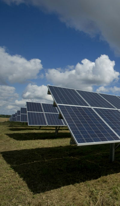 solar panels on green field